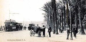 2889- Alger - Square et Boulevard Carnot2